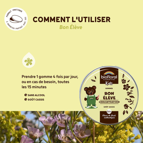 Gommes Bon Elève aux Fleurs de Bach pour enfant