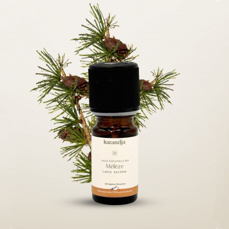Huile essentielle Mélèze Bio 2