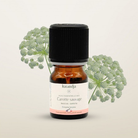 Huile essentielle Carotte sauvage Bio 1