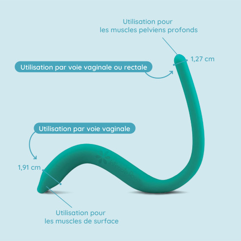 Baguette pelvienne vibrante