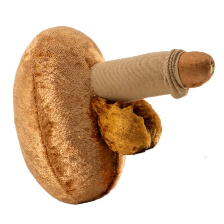 modèle anatomique pénis avec urètre en peluche location