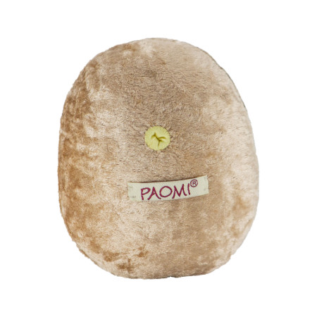 modèle anatomique pénis avec urètre en peluche  à louer