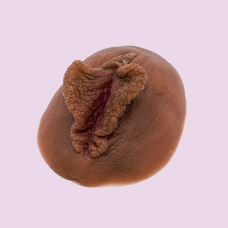 vulve en silicone couleur foncé sur fond rose en location