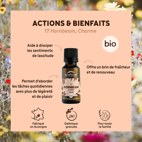 Fleurs de Bach n°17 - Charme/Hornbeam en granules Bio