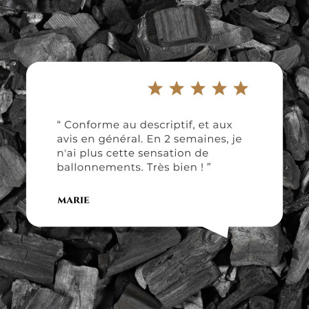 Gélules Charbon végétal activé