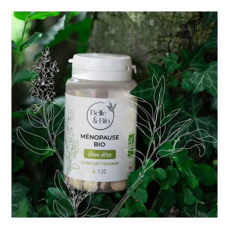 Comprimés Ménopause bio