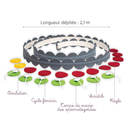 cycle féminin en feutrine à louer avec les légendes