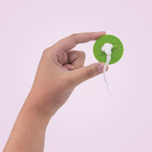 cercle vert du cycle féminin en feutrine à louer