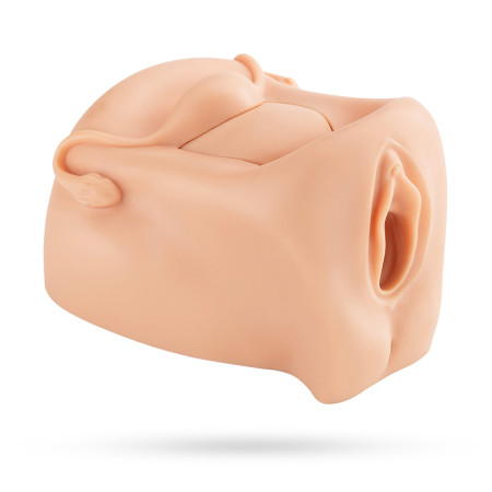modèle vagin + vulve en silicone couleur chair à louer