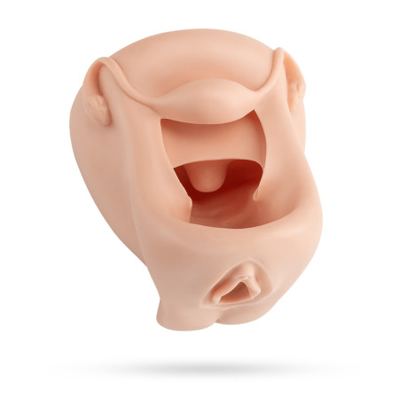 modèle vagin + vulve en silicone couleur chair à louer vue du dessus