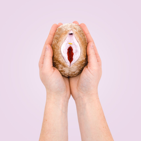 modèle de vagin en peluche à louer tenu dans les mains
