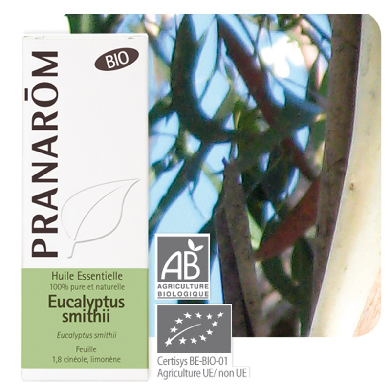 Huile essentielle Eucalyptus smithii Bio
