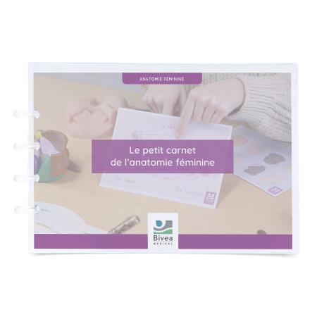 carnet de schémas anatomiques sur l'anatomie de la femme