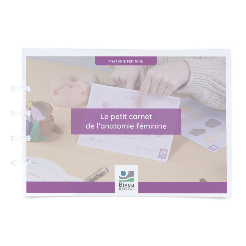 carnet de schémas anatomiques sur l'anatomie de la femme