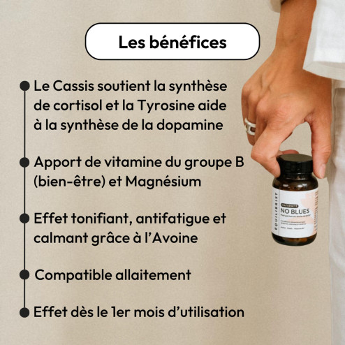 Complément alimentaire No Blues Equilibrist 4