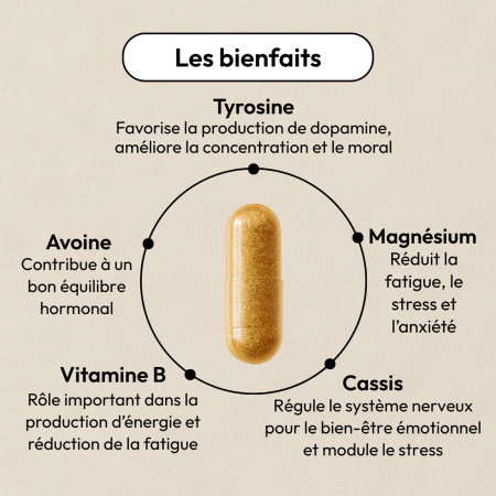 Complément alimentaire No Blues Equilibrist 5