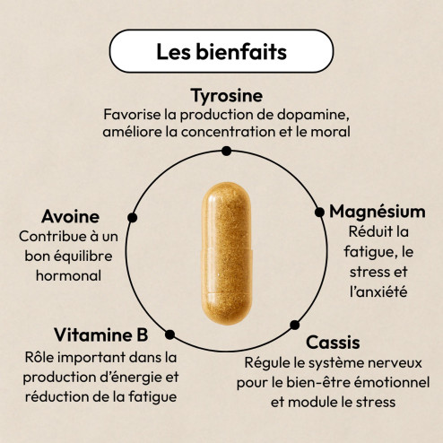 Complément alimentaire No Blues Equilibrist 5