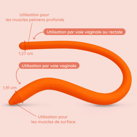 Baguette pelvienne pliable