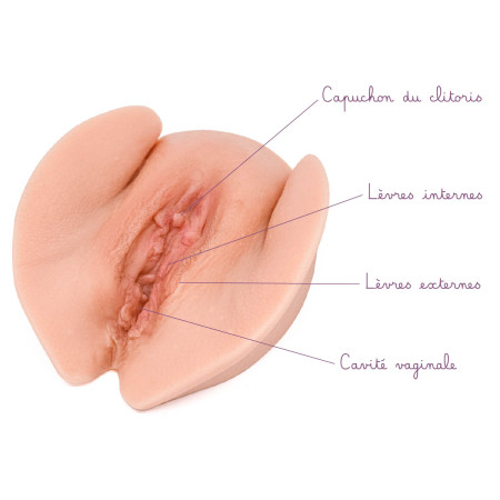 vulve mutilée avec légendes