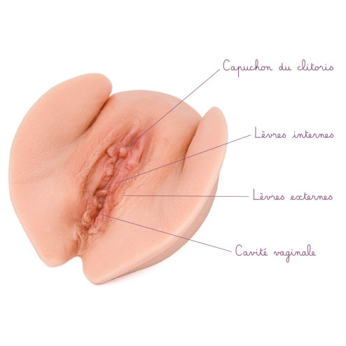 vulve mutilée avec légendes