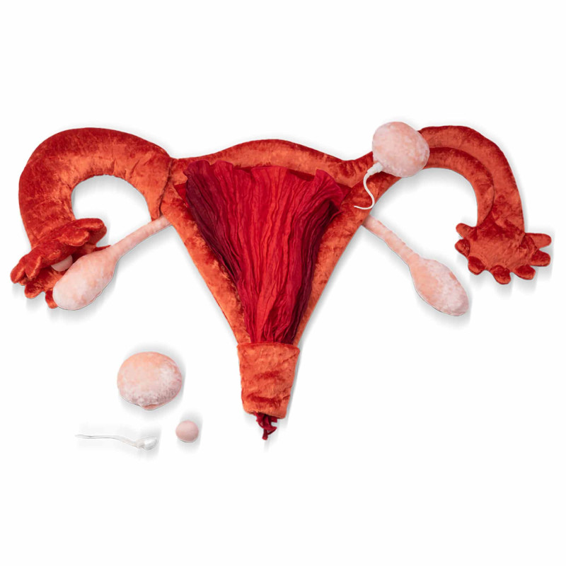 Utérus en peluche