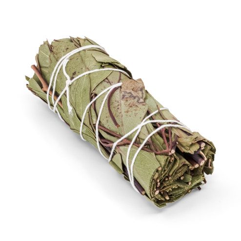 Bâton d'Eucalyptus