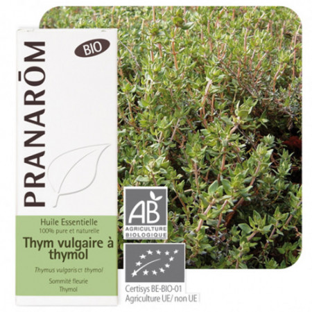 Huile essentielle Thym vulgaire à thymol Bio