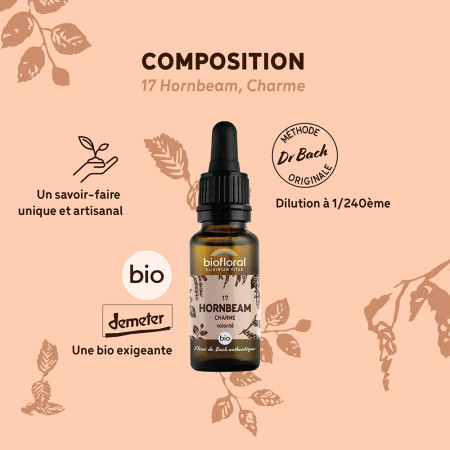 Fleurs de Bach n°17 - Charme/Hornbeam Bio