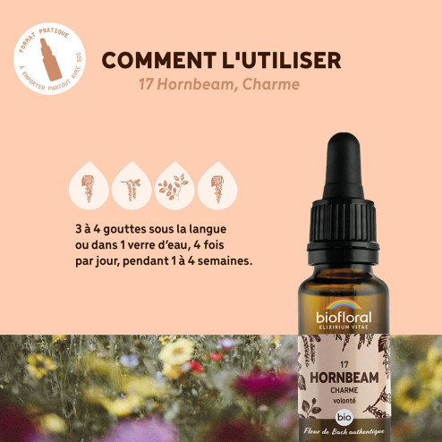 Fleurs de Bach n°17 - Charme/Hornbeam Bio