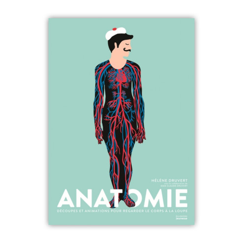 Anatomie : découpes et animations pour regarder le corps à la loupe
