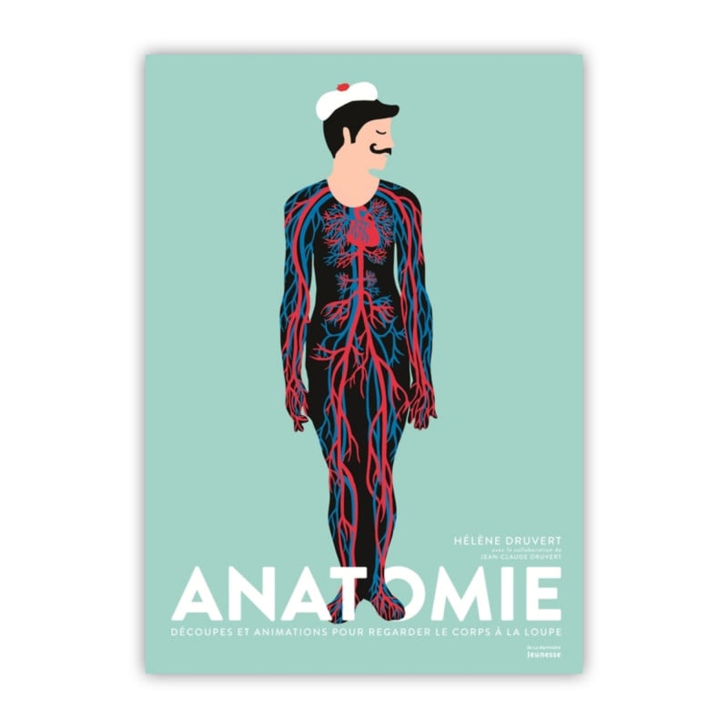 Anatomie : découpes et animations pour regarder le corps à la loupe