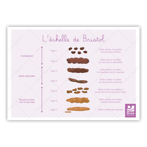 schéma échelle de bristol