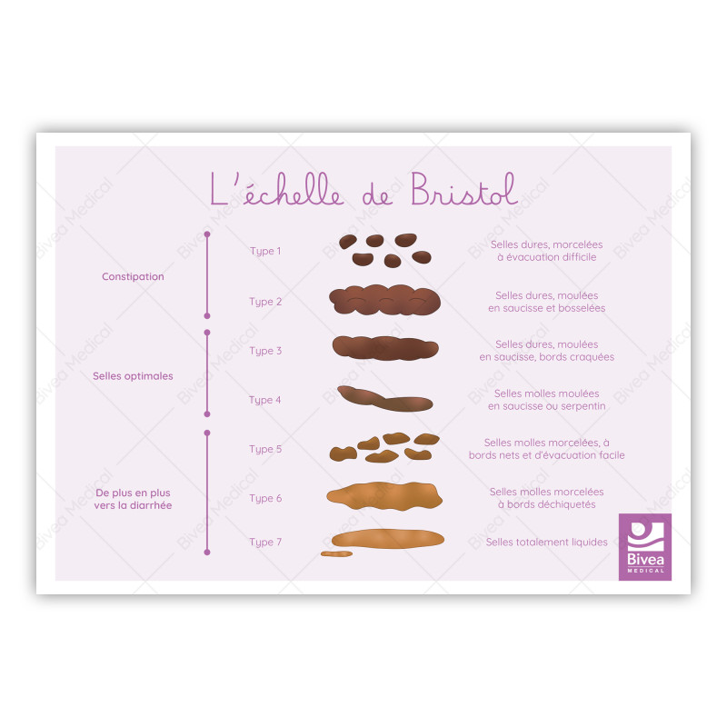 schéma échelle de bristol