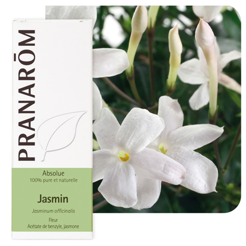 Huile essentielle Absolue de Jasmin