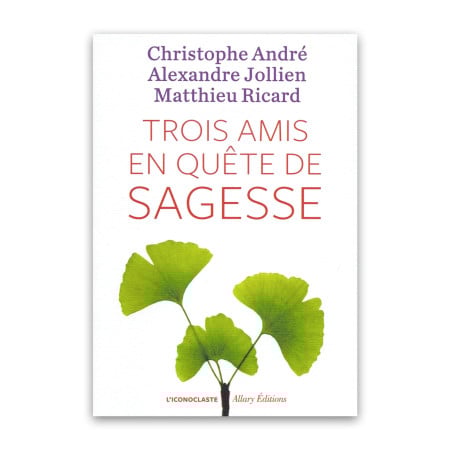 Trois amis en quête de sagesse