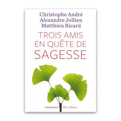 Trois amis en quête de sagesse