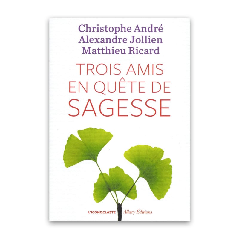 Trois amis en quête de sagesse