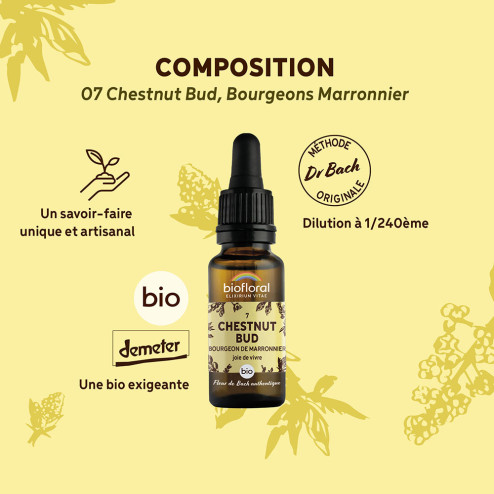 Fleurs de Bach n°7 - Bourgeons de Marronnier/Chestnut Bud Bio