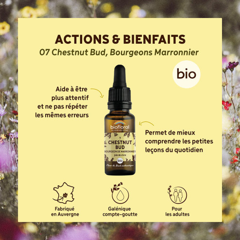 Fleurs de Bach n°7 - Bourgeons de Marronnier/Chestnut Bud Bio