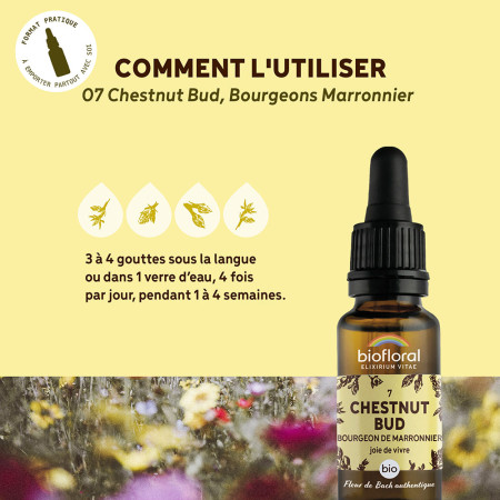 Fleurs de Bach n°7 - Bourgeons de Marronnier/Chestnut Bud Bio
