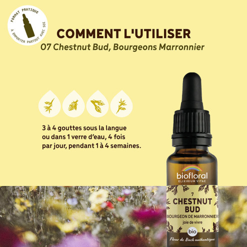 Fleurs de Bach n°7 - Bourgeons de Marronnier/Chestnut Bud Bio