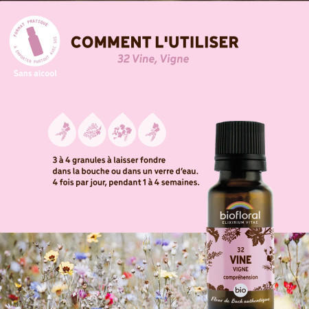 Fleurs de Bach n°32 - Vigne/Vine en granules Bio