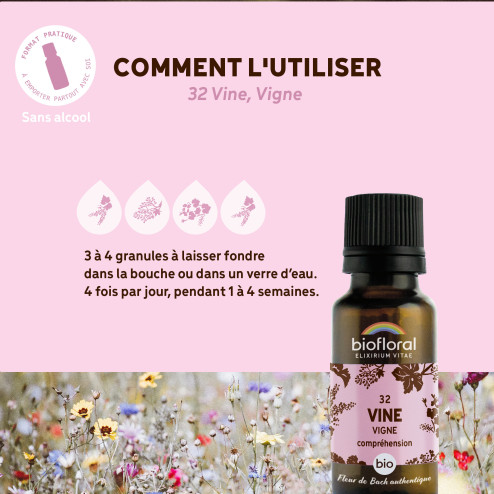 Fleurs de Bach n°32 - Vigne/Vine en granules Bio