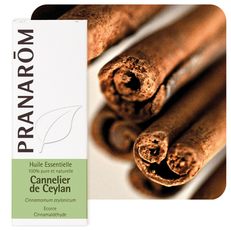 Huile essentielle de cannelle de Ceylan, Cinnamomum zeylanicum, Aromathérapie