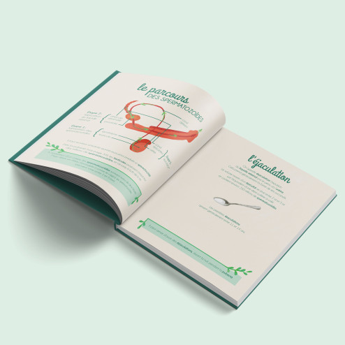 le petit illustré de l'intimité 2 parcours des spermatozoides