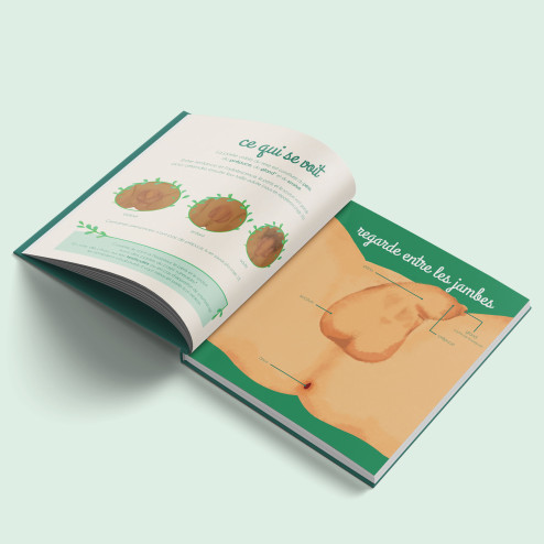 le petit illustré de l'intimité 2 schéma pénis