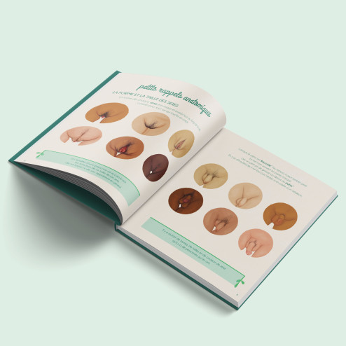 Livre Le petit illustré de l'intimité tome 4 illustrations vulves