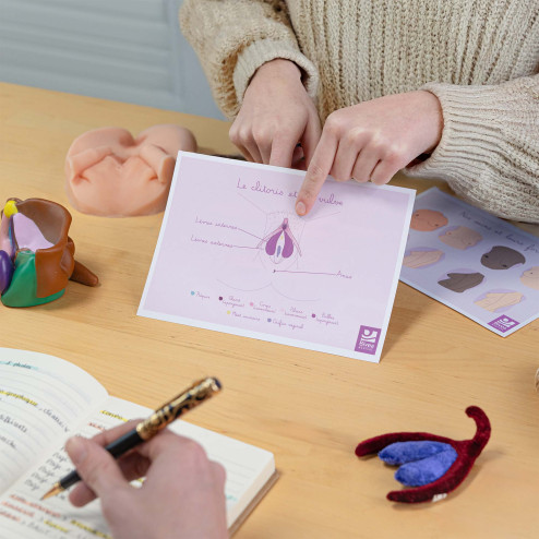 schéma clitoris vulve en train d'être utilisé