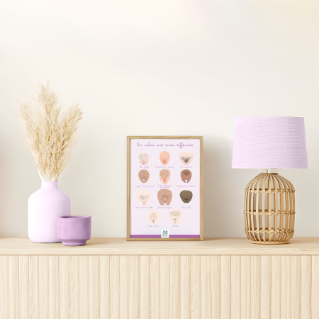 Poster A4 illustration nos vulves sont toutes différentes