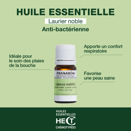 Huile essentielle Laurier noble